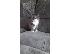 PoulaTo: Πωλούνται γατάκια Maine Coon